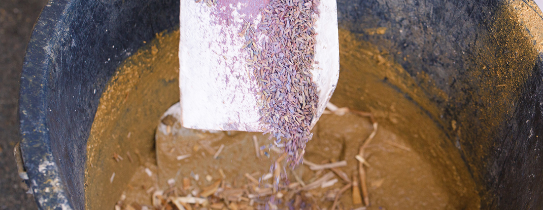 Impressum von Art of Alfi