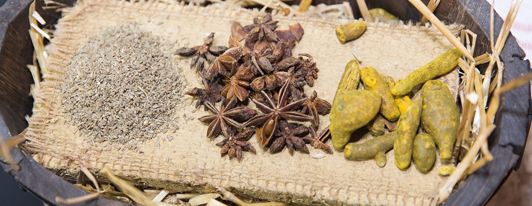 Natürliche Duftstoffe für Klimapaneelen von Art of Alfi