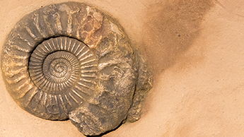 So kann eine Klimapaneele von Art of Alfi aussehen