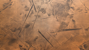 Beispiel einer Klimawand von Art of Alfi