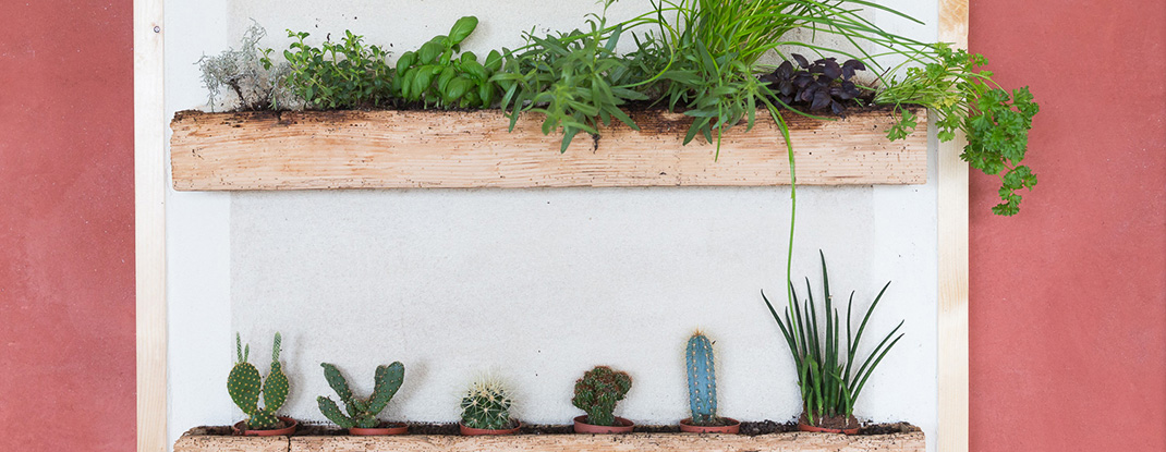 Pflanzen- und Kräuterwand von Art of Alfi